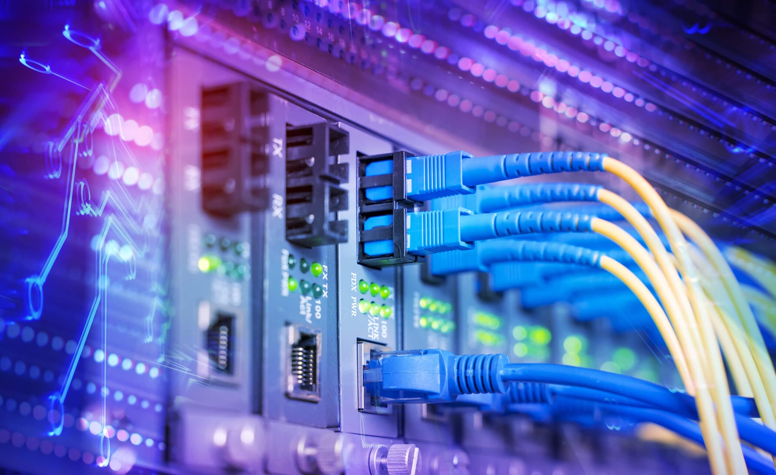 Network Infrastructure Devices
