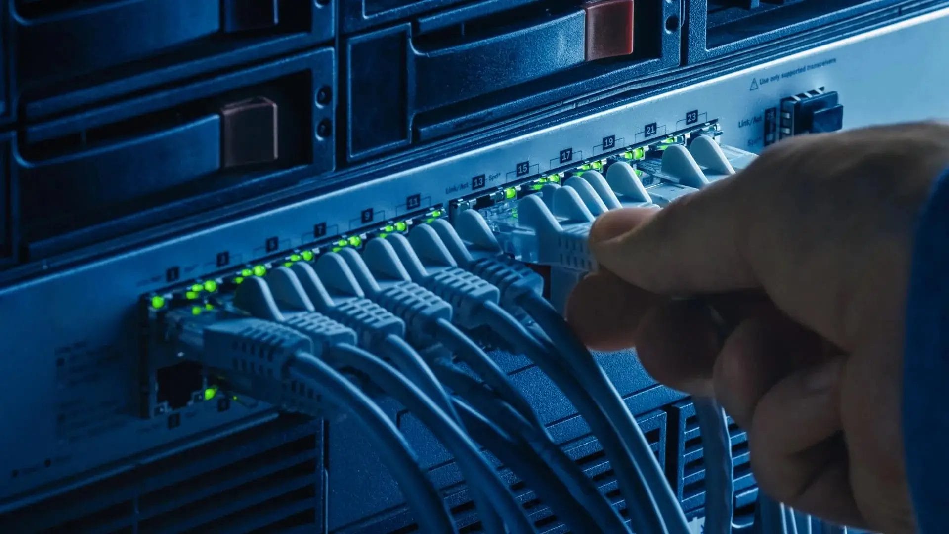 Network Equipment Vendors